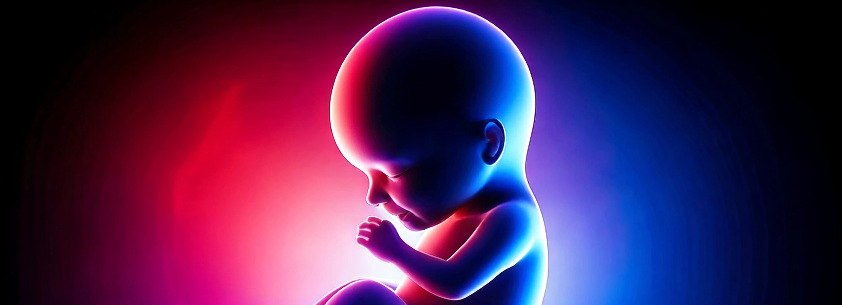 Artwork of a fetus floating in his mother's womb backlit by red and blue lights